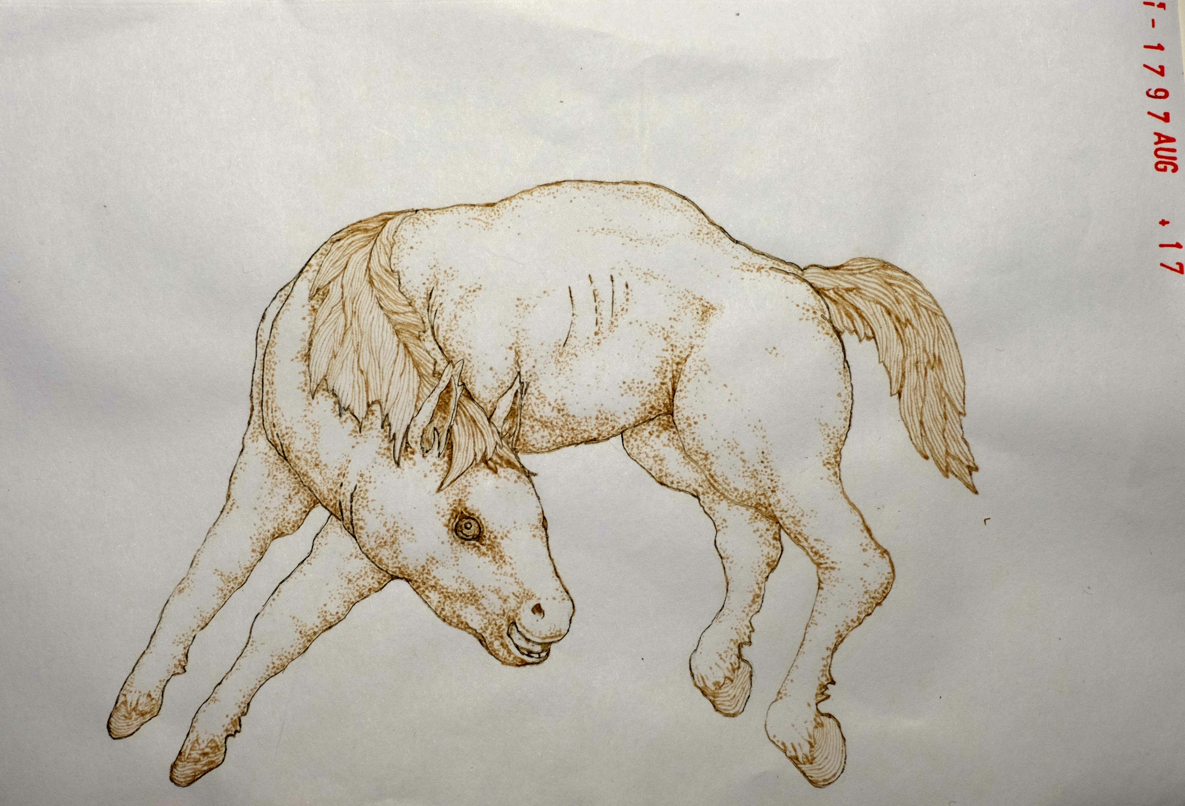 horse